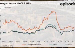 Wagyu Wobble: por qué los precios del ganado F1 se operan por debajo del precio histórico