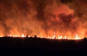 La contención crece en Lee Fire Burning cerca de Meeker