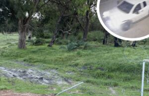 Los intrusos apuntan a tierras de cultivo myalup: “Conducen directamente a través de la cerca”