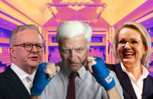 Canberra Chaos y Net Zero Angst en medio de retorno parlamentario | Granja semanalmente