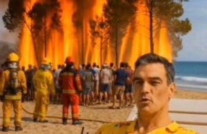 Tres de cada 4 españoles creen que Sánchez la pidió y tuvo que decidir la emergencia contra el fuego