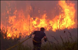 Mientras Galicia arde, la hija de un líder de PSOE lanza fuegos artificiales en la boda