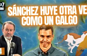 ¡Sánchez huye nuevamente como un galgo de la prensa y la furia de la ciudad!