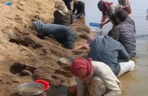 ¿Los residentes cazan oro en el río Efrat seco, el día del juicio está cerca?