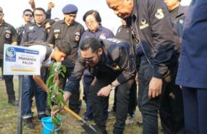 Antes de los rakernas, Nasdem plantando 700 árboles productivos en Gowa