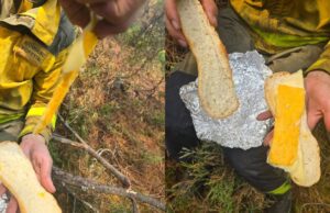 Enojo monumental para el muy pobre bombero forestal: cuando salvar la montaña conoce cenizas y pan duro