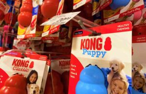 Juicio para decidir el futuro de los camareros de perros Kong comienza
