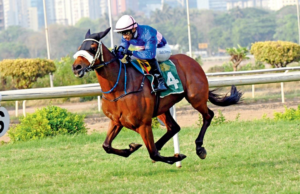 La factura de juegos en línea explica más fatalidad para carreras de caballos