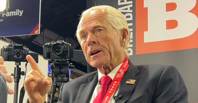 Peter-Navarro-640x335.jpeg
