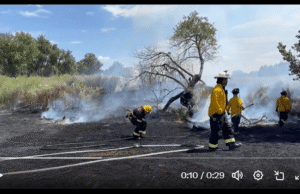 Los bomberos de Aurora abordan el fuego de 1 acre en Tollgate Creek Trail, no hay estructuras amenazadas