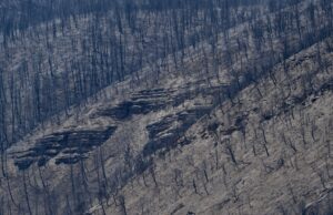 Órdenes de evacuación levantadas para Crosho Fire