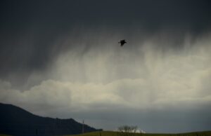 Alerta de tormenta severa para Metro Denver