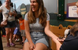 Westminster’s Butterfly Pavilion termina Tarantula Meet-and-Greets