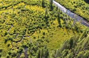 Restricciones de campamento planificadas cerca de los humedales del valle de Homestake