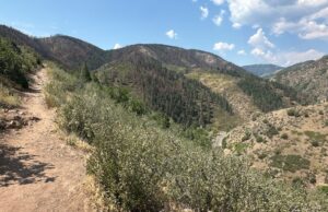 Deer Creek Canyon Park, dañado por Fire Wildfire en 2024, reabre completamente