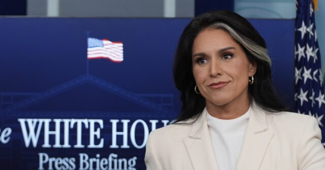 Tulsi-Gabbard-Associated-Press-640x335.jpg