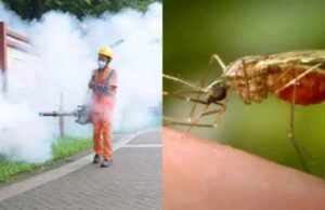 China desempolve su gigantesco arsenal contra el covid para luchar contra el virus Chikungunya