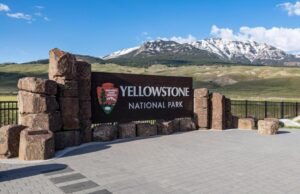 Wyoming Man acusado por presuntamente golpear a Wolf con motos de nieve, llevarlo a bar y matarlo