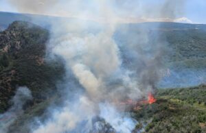 El Fire de alces de 2,000 acres destruye 3 edificios