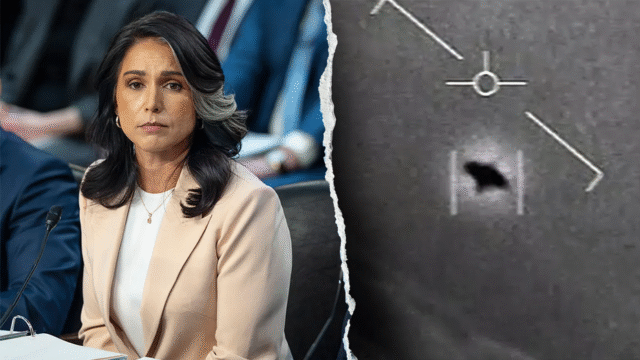 gabbard-ufo.png