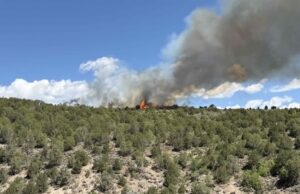 Wildfire Sparks en el oeste de Colorado, las evacuaciones de fuerzas