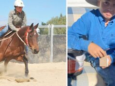 Jinete de caballo adolescente apasionado asesinado en un choque de NSW