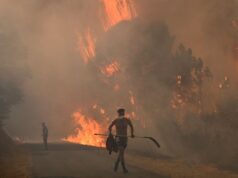 Catástrofe ambiental en España: más de 1100 muertos por la ola de calor y los pueblos enteros arrasados por las llamas