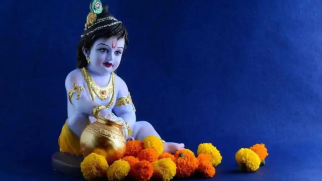 janmashtami-file-istock-1754416373319_d.png