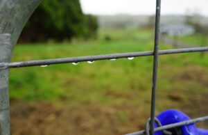 Sistemas meteorológicos para intensificarse en las costas este y oeste a finales de esta semana