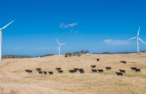 La transición energética no puede seguir sucediendo a la comunidad ‘. Se necesita apoyo real