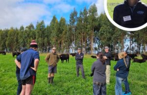 Está bien documentado en ovejas, pero ¿la enfermedad de los trébol afecta la fertilidad del ganado?