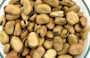 Sistemas de almacenamiento de leguminosas pobres que dejan a los productores de granos y una industria más amplia