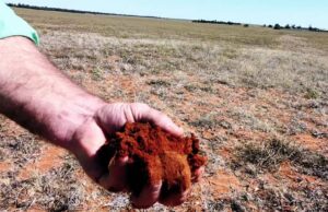 Propiedad de primavera: la inminente recorte de tasas de interés podría aumentar la temporada de venta rural