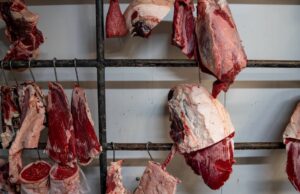 Vacunado para ser alérgico a la carne: cuando los que predican la moral son inmorales