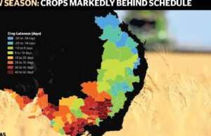 Los datos destacan los cultivos tardíos, los bajos niveles de humedad en el sureste | Granja semanalmente