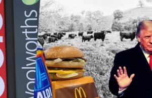‘Australia primero’: los principales minoristas de brocheros sugeren importar carne de res estadounidense