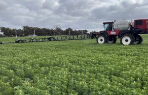La cámara es acertada en cultivos con esta tecnología de pulverización verde sobre verde