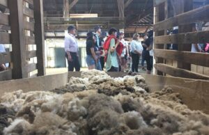 Auge de agritourismo: los $ 18.6 mil millones de Australia de las visitas a la granja.
