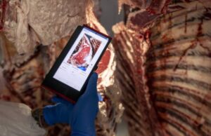 Aussie Agtech Company obtiene la aprobación de las cámaras de clasificación de carne