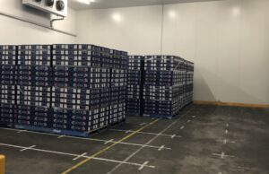 La compañía de exportación golpeó con multa de un millón de dólares en violación de bioseguridad fallida