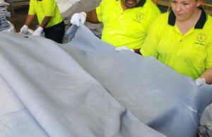 Hides Market establecido para colapsar a medida que los productores retroceden los datos de geolocalización