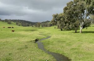 La propiedad Premier Benger ofrece autonomía y oportunidad. | Granja semanalmente