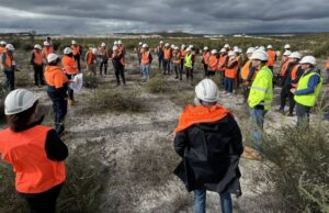 Suelos arenosos de WA: aprendiendo a impulsar la agricultura de manera sostenible. | Granja semanalmente
