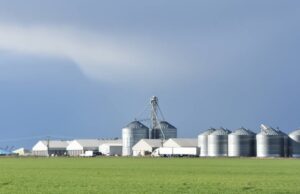 La perspectiva de primavera positiva de Bom eleva el optimismo entre los productores de granos | Granja semanalmente