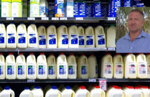 ¿Los supermercados apoyarán a los agricultores y el aumento del precio de la leche?