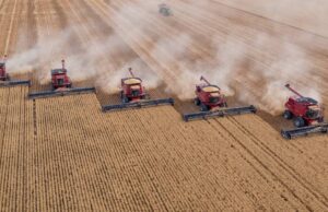 Los agricultores australianos ganan el título para los productores de trigo más duros en la Tierra