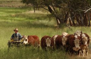 Rabobank dice que el estado de ánimo rural, pero los agricultores aún invierten | Granja semanalmente