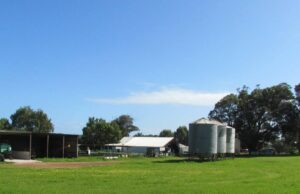 Operación mixta Gadara Farm de Dongara es una delicia para llevar al mercado