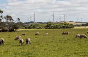 Los agricultores se preparan para adoptar energía renovable con optimismo cauteloso