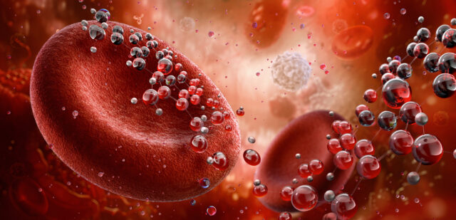 red-blood-cells-transport-oxygen-throughout.jpg